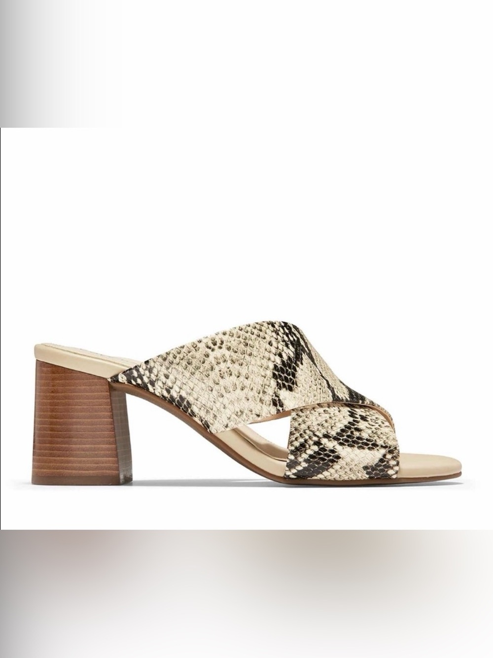 Cole Haan Snake-Print Block Heel Mule in Neutral/Black
